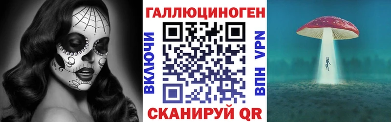 площадка формула  закладки  Сухой Лог  Галлюциногенные грибы Cubensis 