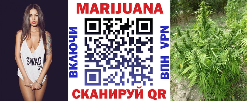 Конопля сатива купить закладку Сухой Лог